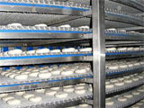 Шоковое замораживание продуктов на спиральном конвейере