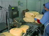 Вакуумное упаковывание сыра